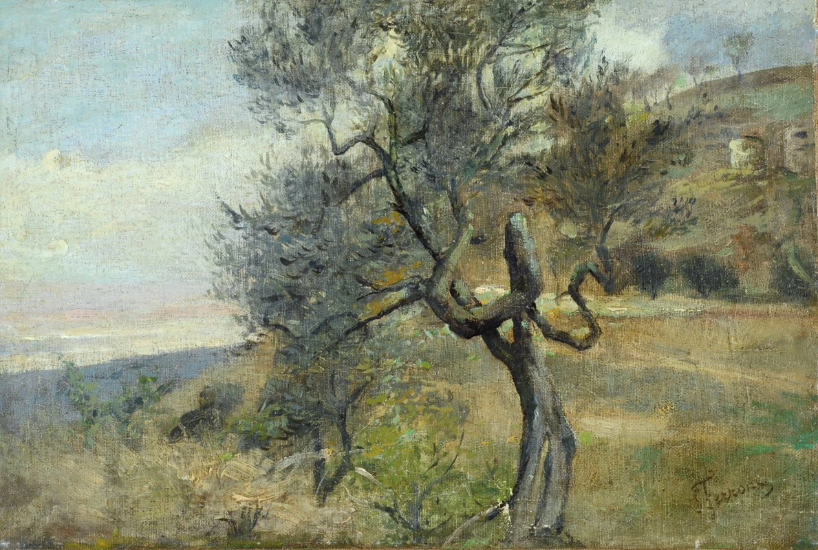 Ulivo nel paesaggio